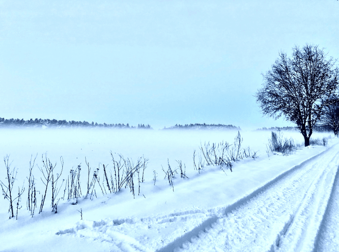 Skin and Coldness