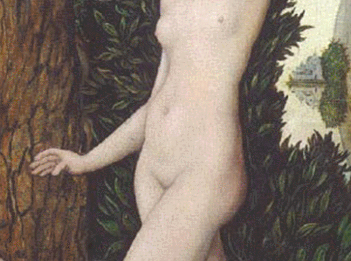 Skin and Art